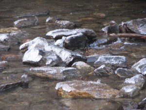 Ice-covered exposed rocks in Looking Glass Creek.