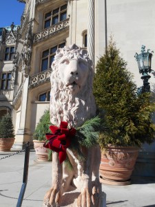 Lion at The Biltmore House, all decked out for Christmas. I had my picture taken with this same lion in 1964 or 1965 while on a school field trip.
