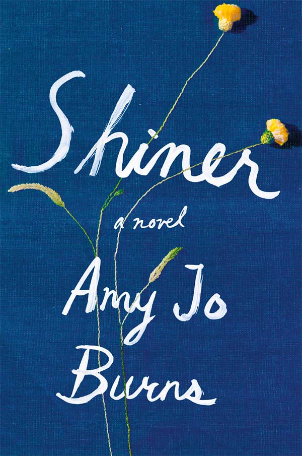 Debut novel by Amy Jo Burns