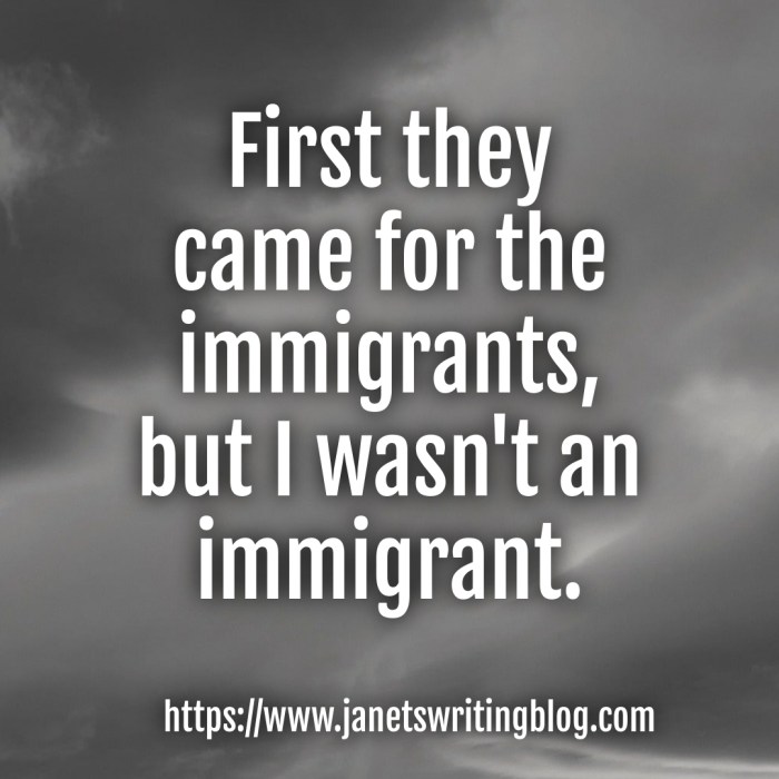 A meme that reads, "First they came for the immigrants, but I wasn't an immigrant."