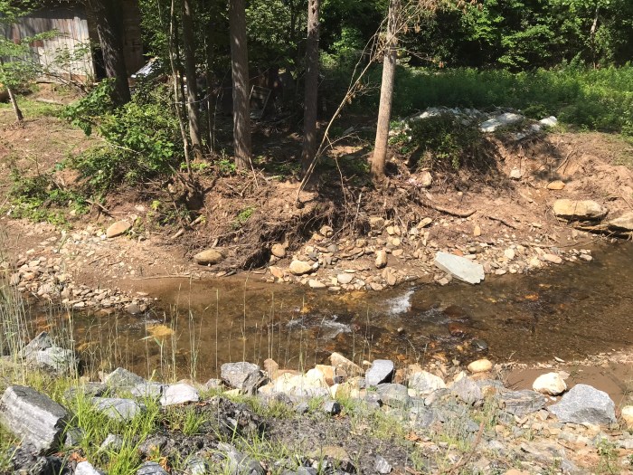 Photo of little stream and tree debris left 9 months after Hurricane Helene June 11, 2025