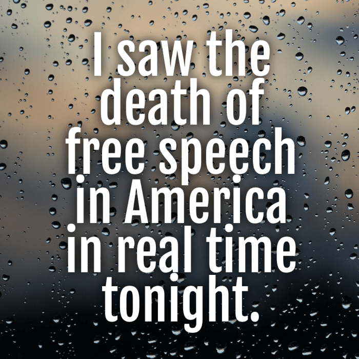 Original meme that says I saw the death of free speech in America in real time tonight.