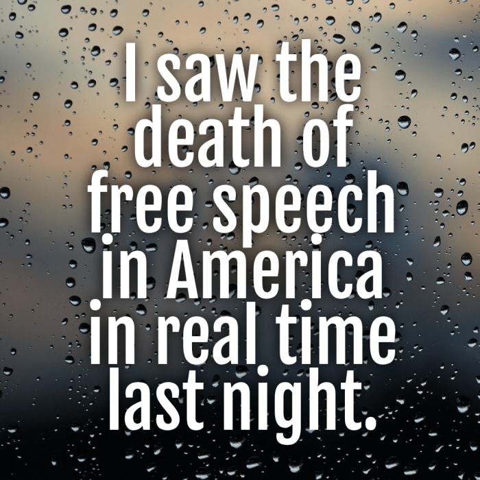 Meme states I saw the death of free speech in America in real time last night.